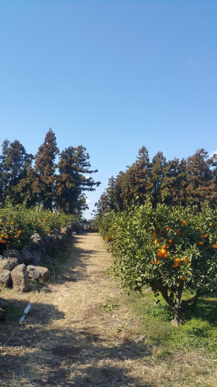 Jeju Mermuri Yerye-dong Exterior foto