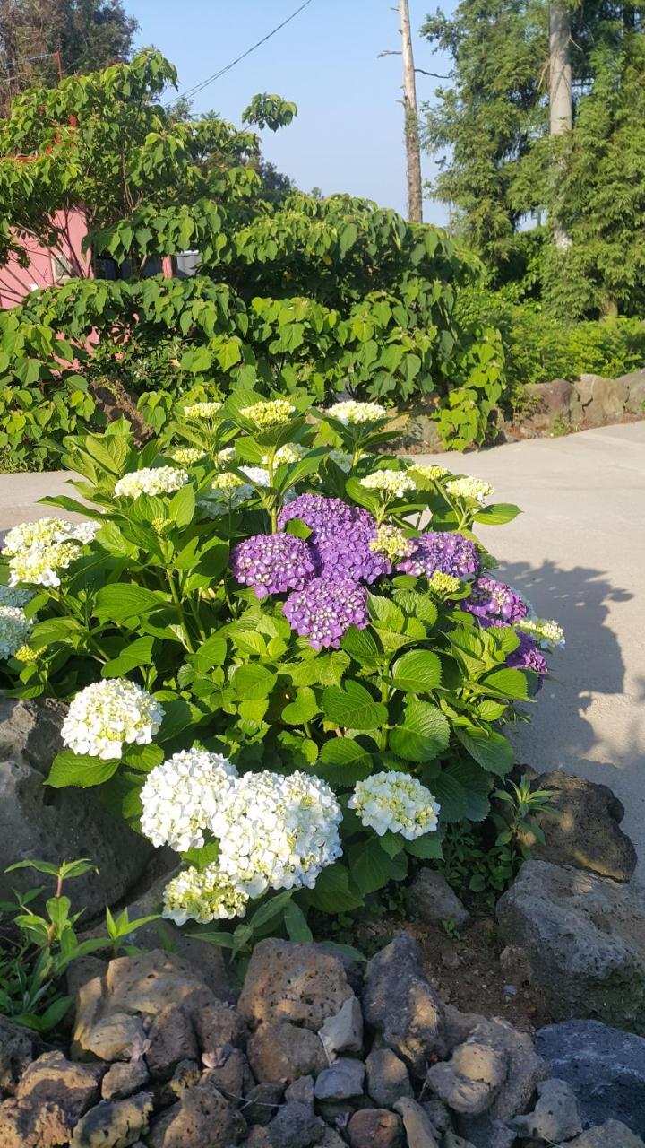 Jeju Mermuri Yerye-dong Exterior foto