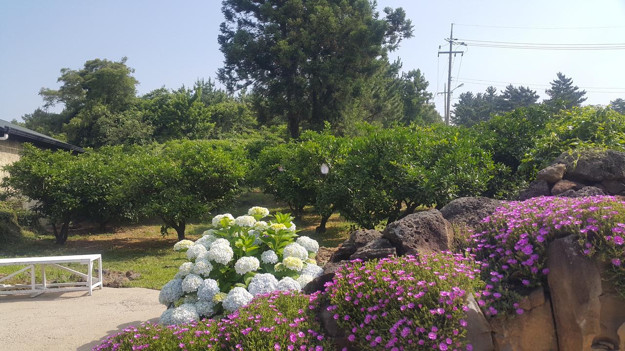 Jeju Mermuri Yerye-dong Exterior foto